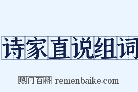 诗家直说组词是什么意思的图片